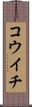 コウイチ Scroll