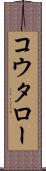 コウタロー Scroll