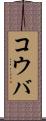 コウバ Scroll