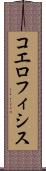 コエロフィシス Scroll