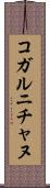 コガルニチャヌ Scroll