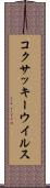 コクサッキーウイルス Scroll