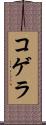 コゲラ Scroll
