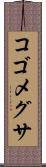 コゴメグサ Scroll