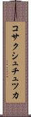 コサクシュチュツカ Scroll