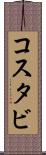 コスタビ Scroll