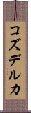 コズデルカ Scroll