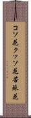 コソ花 Scroll