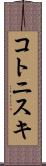 コトニスキ Scroll