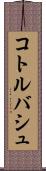 コトルバシュ Scroll