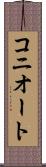 コニオート Scroll