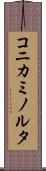 コニカミノルタ Scroll