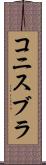 コニスブラ Scroll