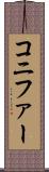 コニファー Scroll