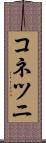 コネツニ Scroll
