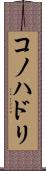 コノハドリ Scroll