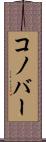 コノバー Scroll