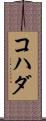 コハダ Scroll