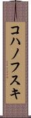 コハノフスキ Scroll