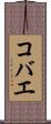 コバエ Scroll