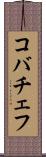 コバチェフ Scroll