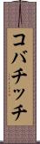 コバチッチ Scroll
