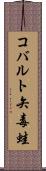 コバルト矢毒蛙 Scroll