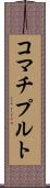 コマチプルト Scroll