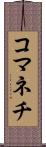 コマネチ Scroll