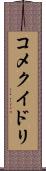 コメクイドリ Scroll