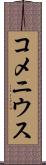 コメニウス Scroll