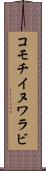 コモチイヌワラビ Scroll