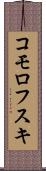コモロフスキ Scroll