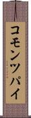 コモン・ツパイ Scroll