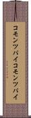 コモンツパイ Scroll