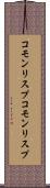 コモンリスプ Scroll