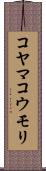 コヤマコウモリ Scroll