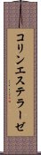 コリンエステラーゼ Scroll