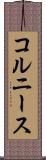 コルニース Scroll
