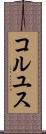 コルユス Scroll