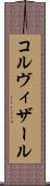 コルヴィザール Scroll