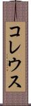 コレウス Scroll