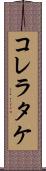 コレラタケ Scroll