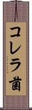 コレラ菌 Scroll