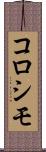 コロシモ Scroll