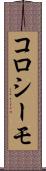 コロシーモ Scroll