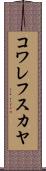 コワレフスカヤ Scroll