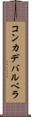 コンカデバルベラ Scroll
