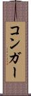 コンガー Scroll