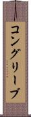 コングリーブ Scroll